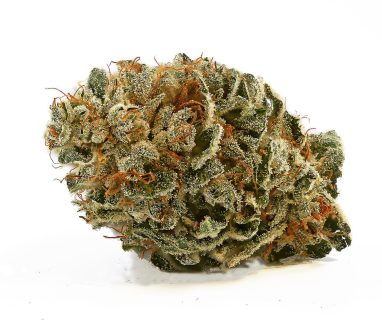 White Cbg cannabis strain