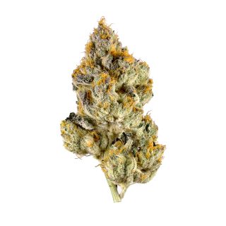 White Tahoe Cookies cannabis strain
