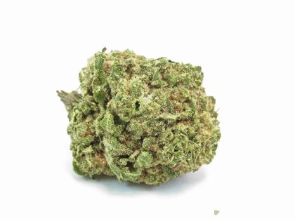 Xj 13 cannabis strain