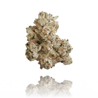 Xxx OG cannabis strain