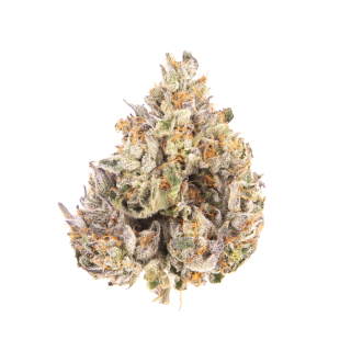 Yellow Roses cannabis strain