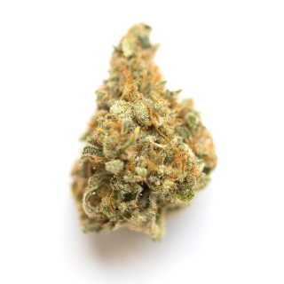 Yoga Pants cannabis strain