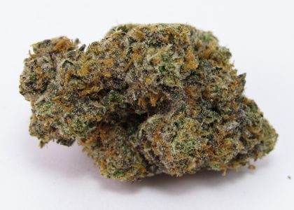 Zeluga cannabis strain